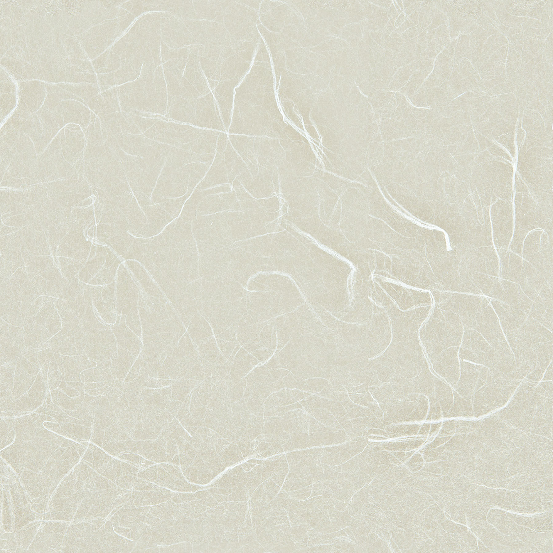 Abstract textured background with pale beige tone and fine white fiber-like streaks, calm and neutral mood